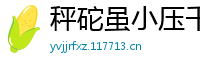 秤砣虽小压千斤网